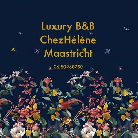 Chez Helene Luxury Bnb マーストリヒト エクステリア 写真