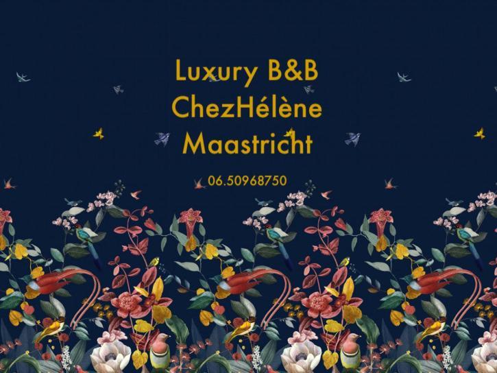 Chez Helene Luxury Bnb マーストリヒト エクステリア 写真